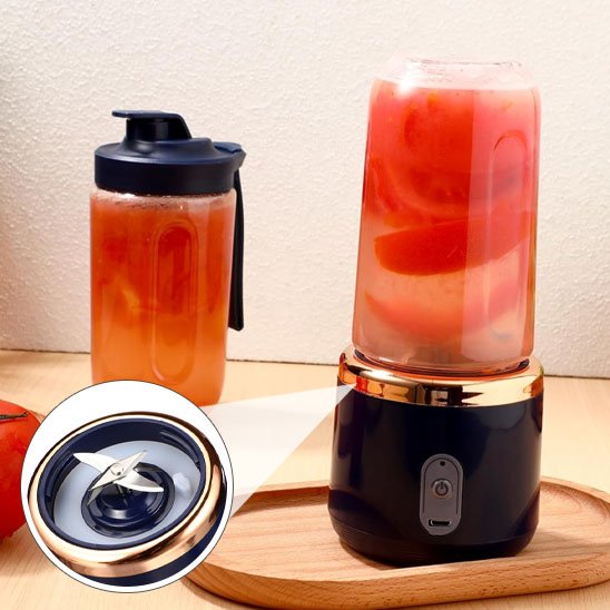 Mini Mixeur Portable broyeur fruits