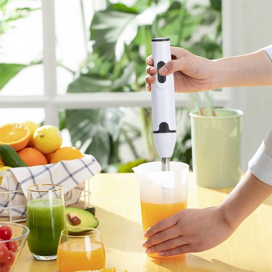 Mixeur plongeant six vitesses | KitchenPro broyer fruits