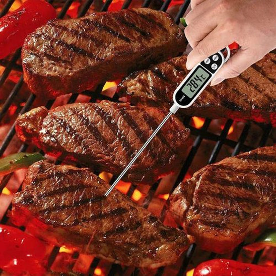 thermometre cuisson prise temperature cuisson viande